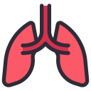 pulmones icon