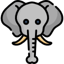 elefante