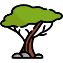 Árbol