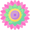 mandala icon