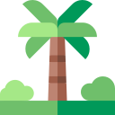 palmera