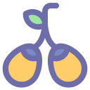 aceituna icon