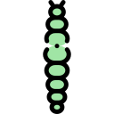 lagarta 