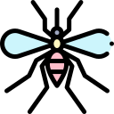 mosquito 