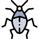 barata 