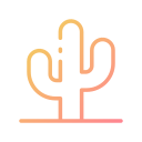 cactus icon