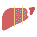 hepatitis b icon