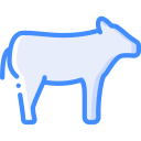 vaca