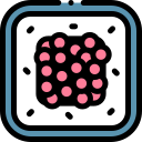 sushi icon