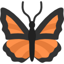 mariposa