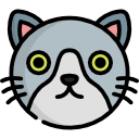 gato icon