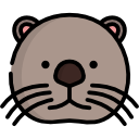 nutria icon