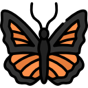 mariposa icon