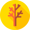 Árbol icon