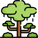 Árbol icon