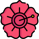 hibisco icon