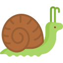 caracol icon