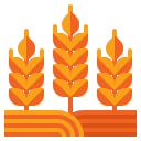 trigo icon