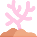 coral icon