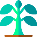 Árbol icon