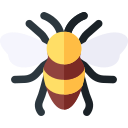 abeja icon