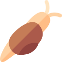 caracol icon