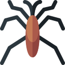 gerridae icon