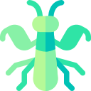 mantis icon