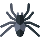 araña icon