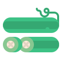 pepino icon