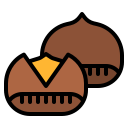 castaña icon