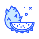 dragon de fruta icon