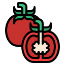 tomate icon