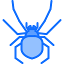 araña icon