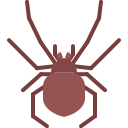 araña icon