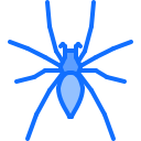 araña icon