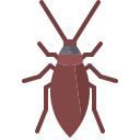 cucaracha icon