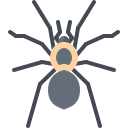 araña icon