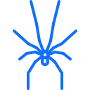 araña icon