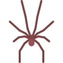 araña icon