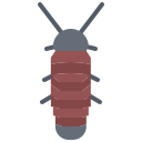 cucaracha