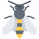 abelha icon