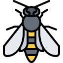 abeja icon