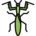 mantis icon