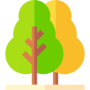 Árbol icon