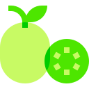 kiwi icon