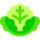 lechuga icon