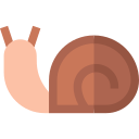 caracol