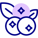 blueberry Icon - Download for free – Iconduck