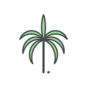 palmera icon